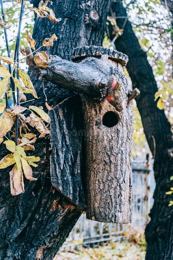 Volière en bois sur un arbre photographie stock Volière en bois sur un arbre photographie stock