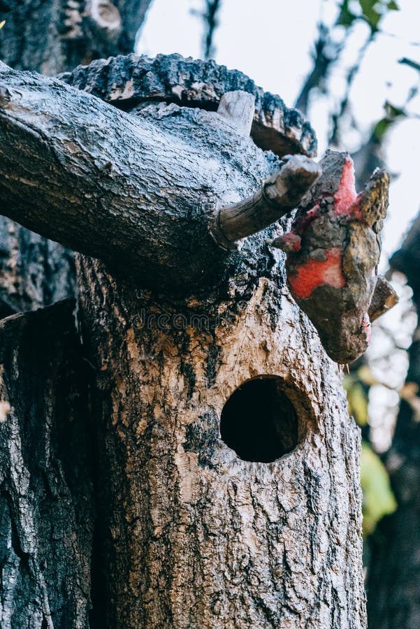 Volière en bois sur un arbre images libres de droits Volière en bois sur un arbre images libres de droits