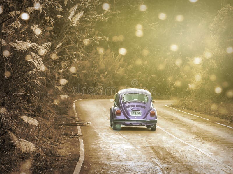 Volkswagen older cars moving along a path in a mountain forest in the natural attraction Doi Phu Kha National Park.