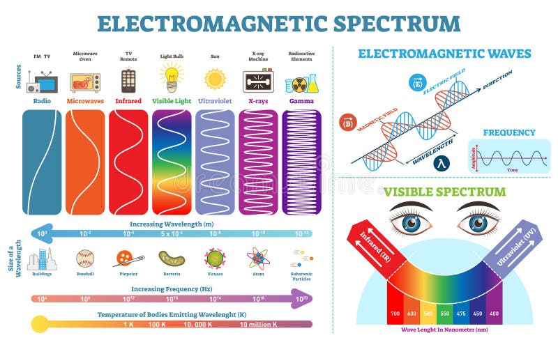 Volle elektromagnetisches Spektrum-Informationssammlung, Vektorillustrationsdiagramm Infographic Elemente der Physik Volle elektromagnetisches Spektrum-Informationssammlung, Vektorillustrationsdiagramm Infographic Elemente der Physik