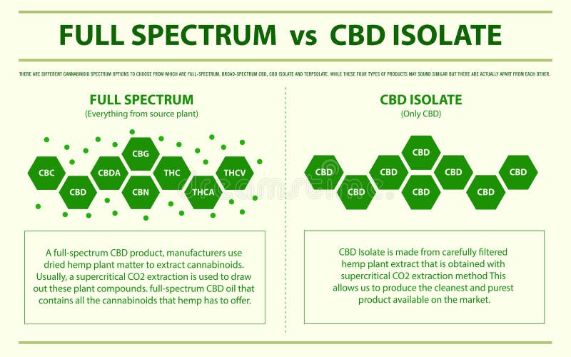Volles Spektrum gegen CBD-Isolat Horizontal infographic