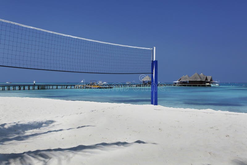 Maldives beach and palm tree in sunny day volley ball. Maldives beach and palm tree in sunny day volley ball