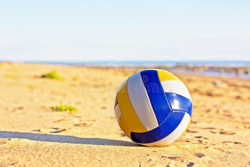 Volleyball Net, Volleyball on Beach and Palm Trees Stock Photo Image