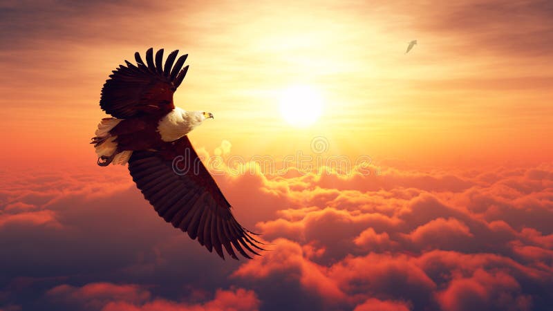 Volo di Eagle di pesce sopra le nuvole