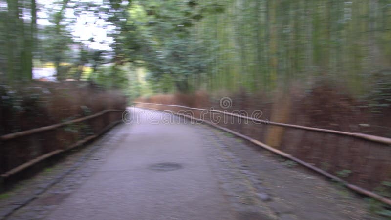 10 volte più veloce del sentiero di coltivazione di bambù nella mattina d'inverno a arashiyama kyoto