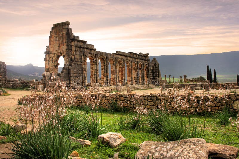 Volubilis en Marocco foto de archivo
