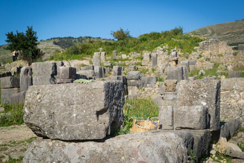 Volubilis, Morocco (4)
