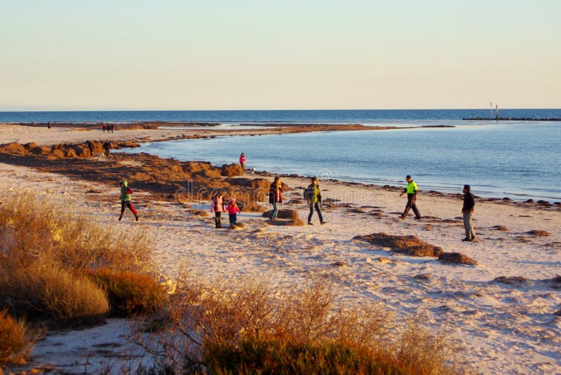 Volunteers at the Beach