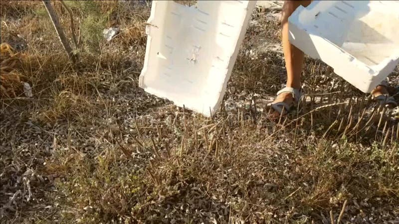 Voluntária colecionando lixo plástico na praia