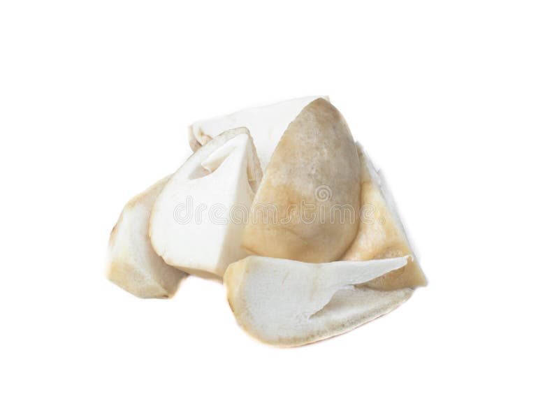 Volvariella volvacea, Straw Mushroom royalty free stock image