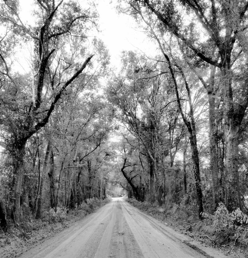 Volver a casa de carretera foto de archivo libre de regalías Volver a casa de carretera foto de archivo libre de regalías