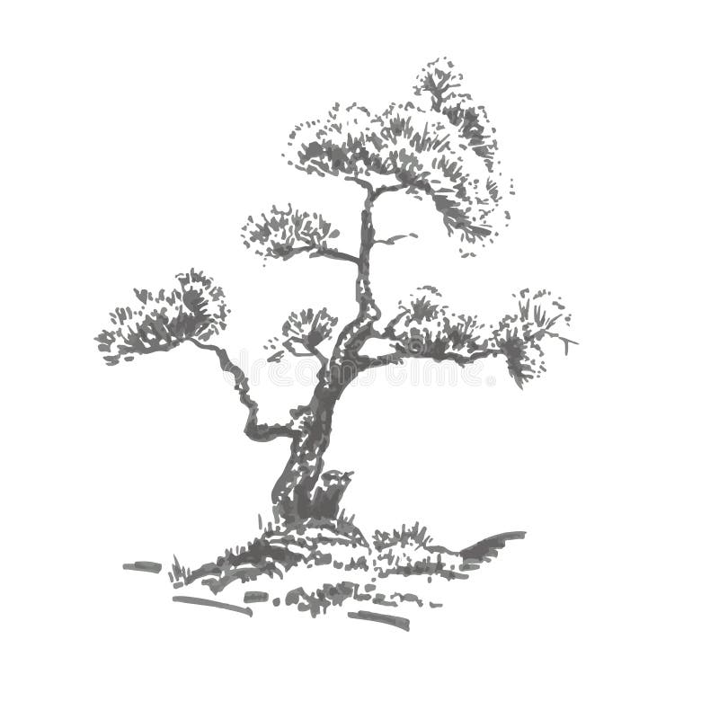 Von Hand Gezeichneter Baum Kiefer Realistisches Bild In Den Schatten Des Graus Skizze Gemalt Mit Tintenburste Stock Abbildung Illustration Von Graus Baum