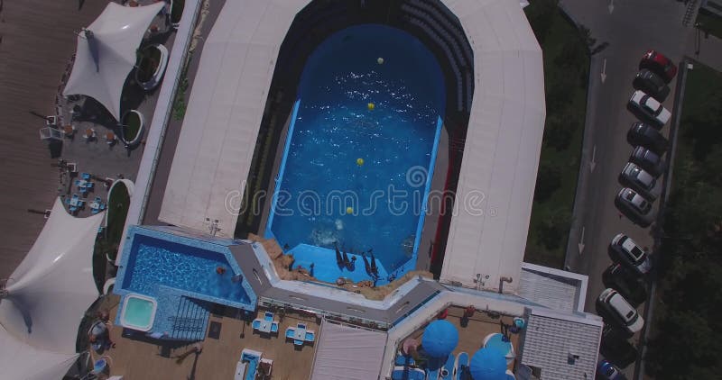 Voo acima do dolphinarium durante a mostra