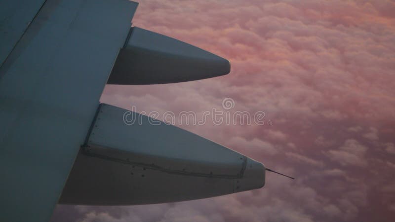 Voo da asa de aviões do close up sobre o tapete de nuvens cor-de-rosa