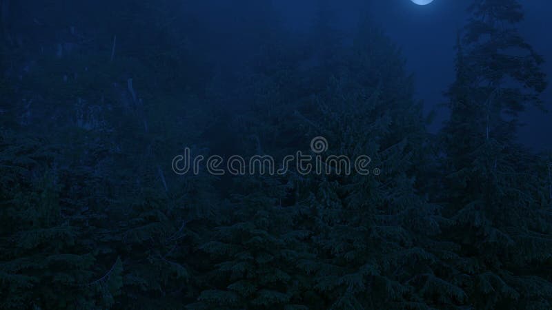 Voo sobre Misty Forest With Moon Above