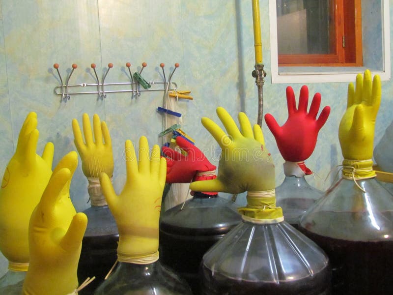 Yellow and red rubber gloves put on the necks of containers with future red wine of grape. Yellow and red rubber gloves put on the necks of containers with future red wine of grape