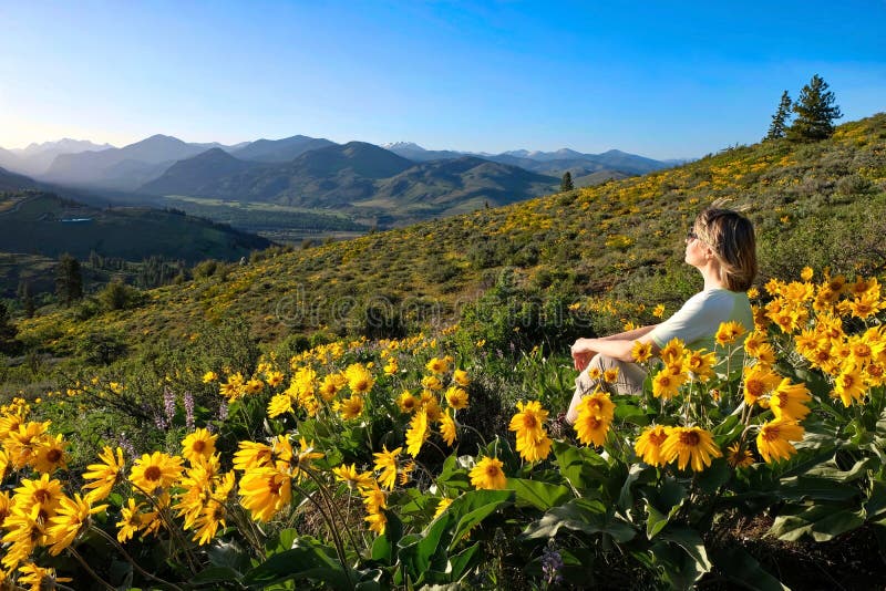 Voyage de vacances en Washington State photo stock Voyage de vacances en Washington State photo stock
