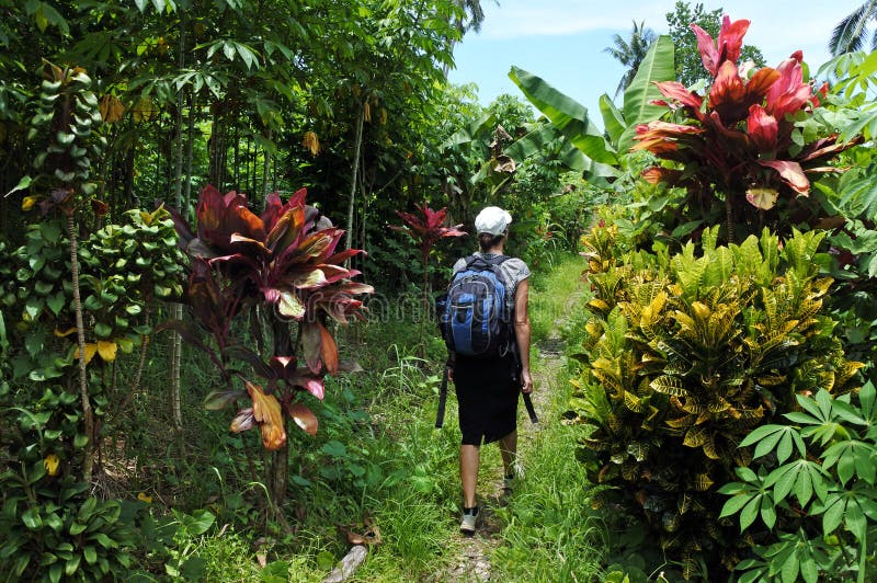 Voyages et hausses de jeune femme dans le terrain tropical photographie stock libre de droits Voyages et hausses de jeune femme dans le terrain tropical photographie stock libre de droits