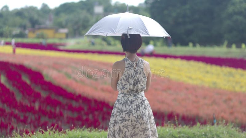 Voyageuse solo touriste d'âge moyen détendu dans jardin fleuri banque de vidéos