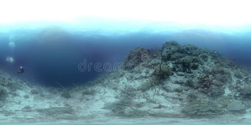 vr 360 ein Korallenriff in Philippinen, Black Rock