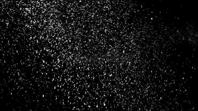 Vraie neige en baisse sur un fond noir images stock Vraie neige en baisse sur un fond noir images stock
