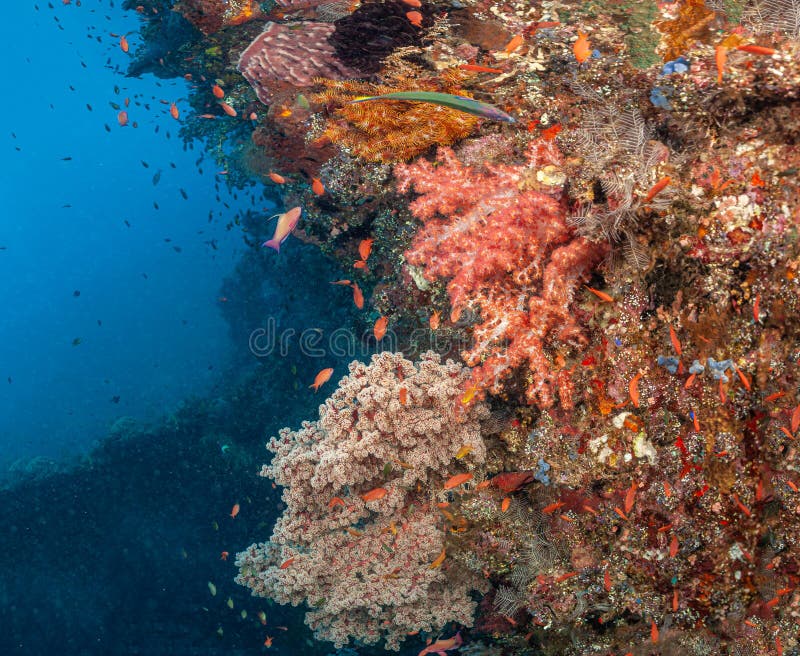 USAT Liberty was a United States Army cargo ship torpedoed by Japanese submarine I-166 in January 1942 and beached on the island of Bali, Indonesia. USAT Liberty was a United States Army cargo ship torpedoed by Japanese submarine I-166 in January 1942 and beached on the island of Bali, Indonesia