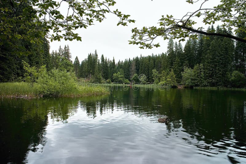 Vrbicke lake the most favorite place in Demanovska valley