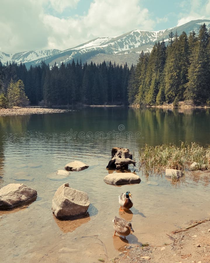 Vrbicke lake in Tatra mountains. Slovakia