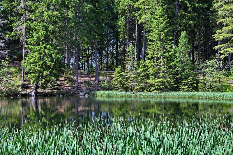 Vrbické pleso