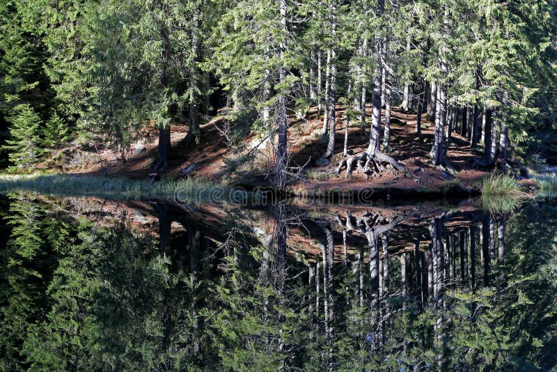 Vrbické pleso