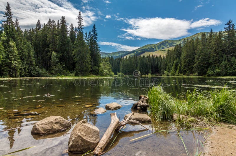 Vrbické pleso