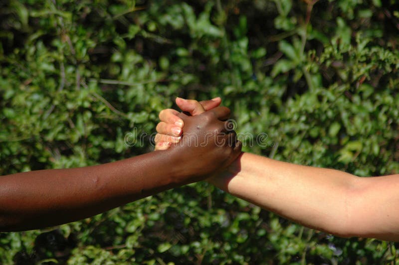 A black hand of an African American woman and a white hand of a caucasian woman holding each other showing their friendship. A black hand of an African American woman and a white hand of a caucasian woman holding each other showing their friendship