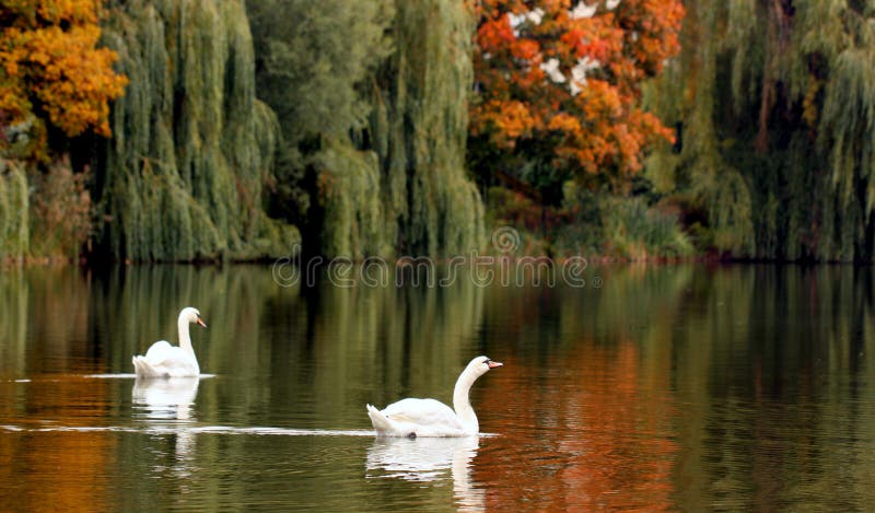 Vriendschap stock foto's Vriendschap stock foto's