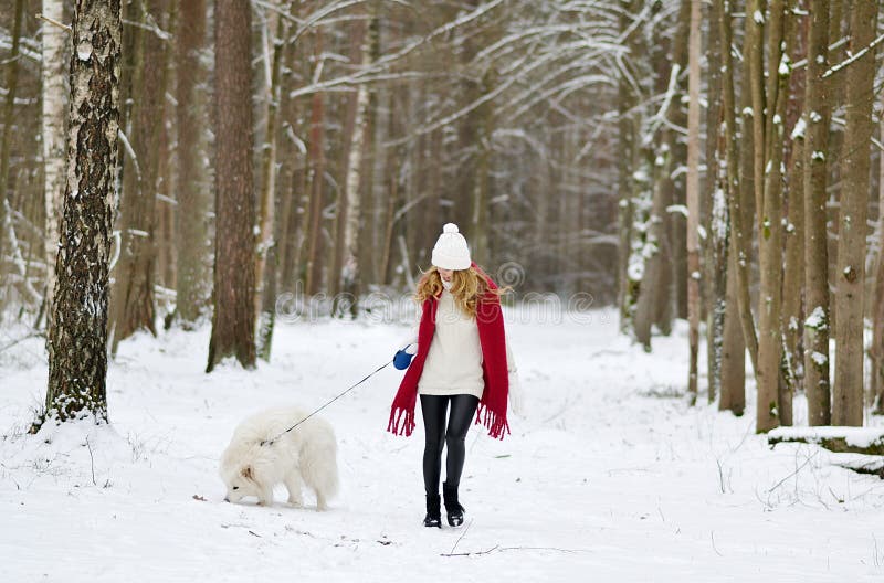 Pretty Young Woman in Snowy Winter Forest Park Walking with her Dog White Samoyed Seasonal. Pretty Young Woman in Snowy Winter Forest Park Walking with her Dog White Samoyed Seasonal