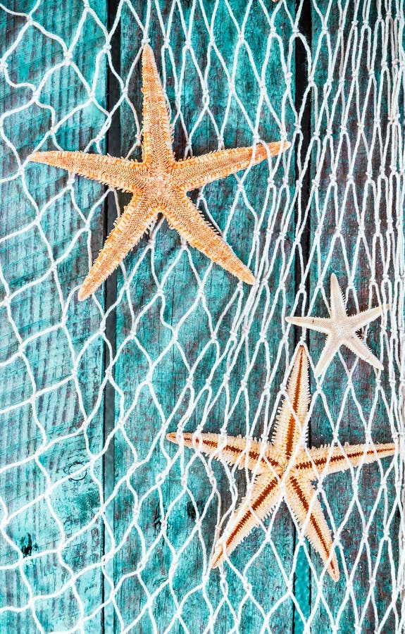 Pretty turquoise blue nautical background with woven diamond pattern fishing net adorned with dried starfish hanging on textured painted wooden boards. Pretty turquoise blue nautical background with woven diamond pattern fishing net adorned with dried starfish hanging on textured painted wooden boards