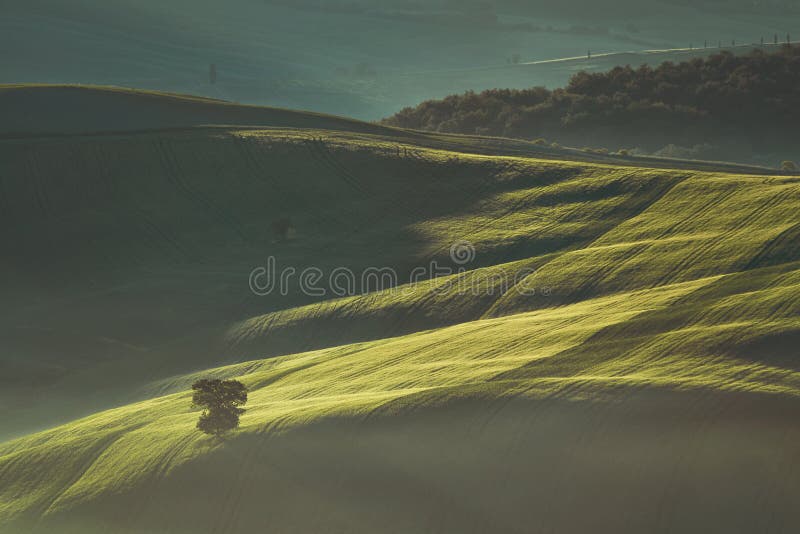 Vroege de lenteochtend op het platteland van Toscanië, Italië stock foto Vroege de lenteochtend op het platteland van Toscanië, Italië stock foto