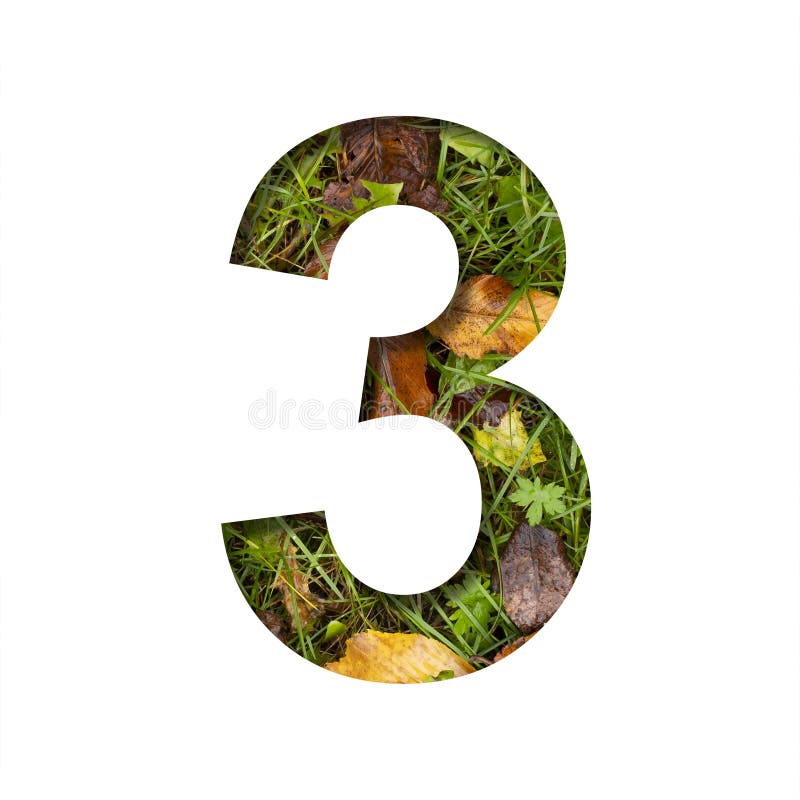 Early autumn font. Digit three, 3 cut out of paper on a background of green grass with yellow autumn leaves of trees, early autumn. Decorative nature alphabet, font collection. Early autumn font. Digit three, 3 cut out of paper on a background of green grass with yellow autumn leaves of trees, early autumn. Decorative nature alphabet, font collection.