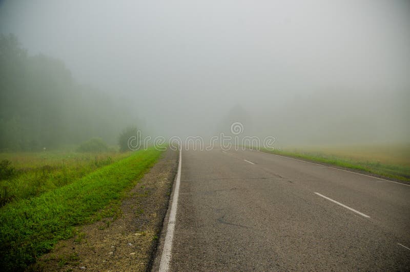 Vroege ochtend bosverstopping in de mist bospad royalty-vrije stock afbeeldingen