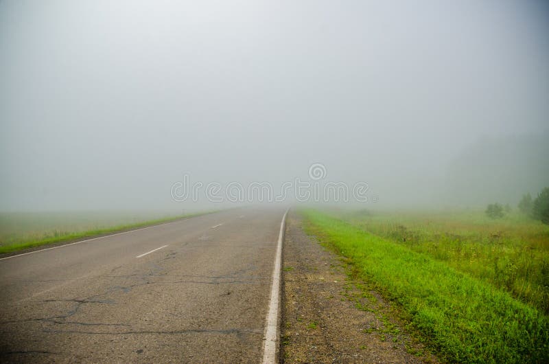 Vroege ochtend bosverstopping in de mist bospad stock afbeelding