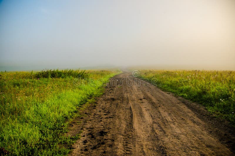 Vroege ochtend bosverstopping in de mist bospad stock fotografie