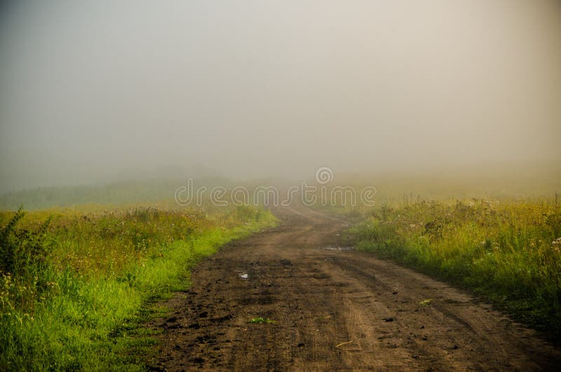 Vroege ochtend bosverstopping in de mist bospad royalty-vrije stock afbeelding