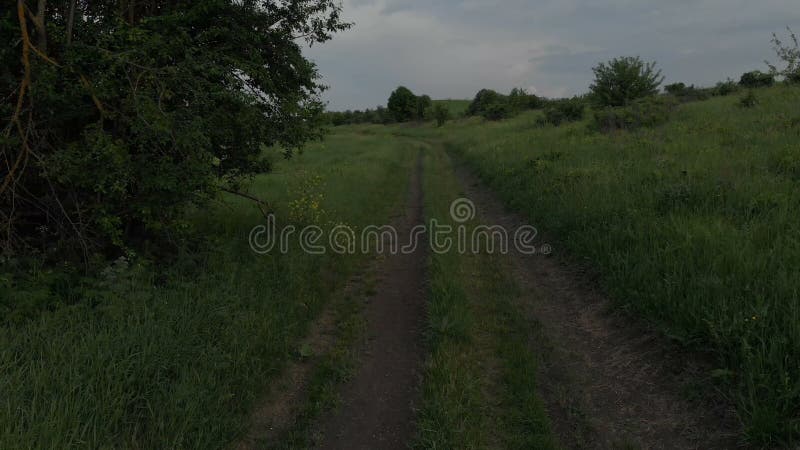 Vrolijk jong meisje die blootvoets op een landweg lopen luchtviewl Genomen op Mavik-Lucht 4k 100kbps