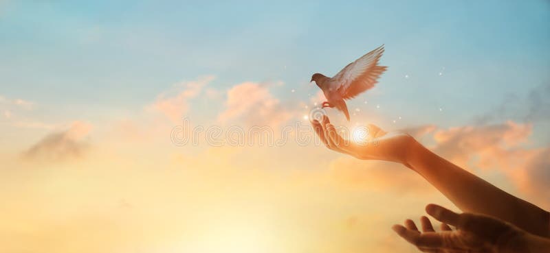 Vrouw bidden en vrije vogel genieten van de natuur op zonsondergang, hoopvol concept