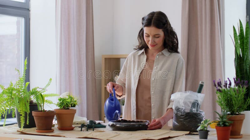 Vrouw die in de vaas van bloemen thuis de grond bederft