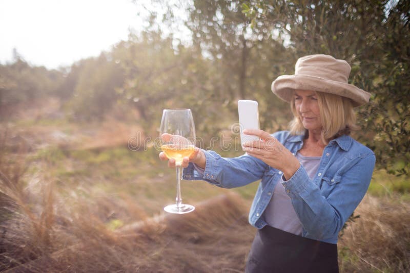 Vrouw die een foto van wijnglas nemen in olijvenlandbouwbedrijf stock afbeelding Vrouw die een foto van wijnglas nemen in olijvenlandbouwbedrijf stock afbeelding
