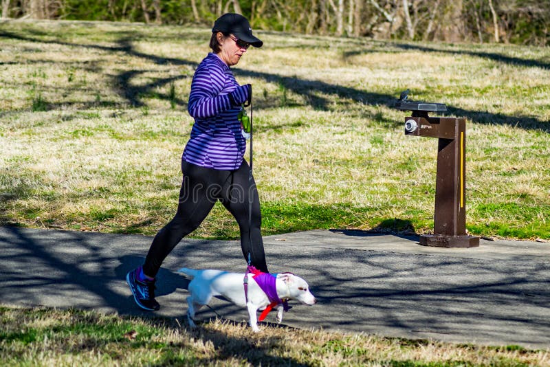 Vrouw die Haar Hond lopen - Roanoke-de Jager van de Valleispca 5K Staart royalty-vrije stock afbeelding Vrouw die Haar Hond lopen - Roanoke-de Jager van de Valleispca 5K Staart royalty-vrije stock afbeelding