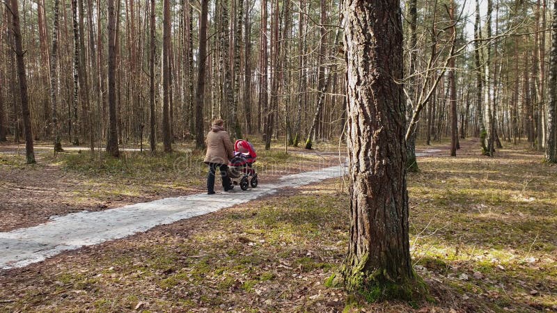 Vrouw die met baby in wandelwagen in park loopt