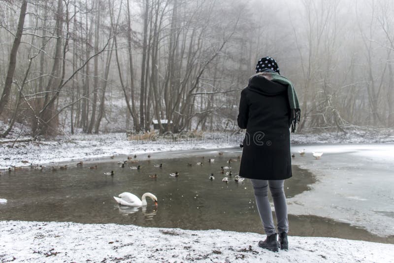 Vrouw het voeden van de de eendenvogel van meerzwanen de het voerwinter royalty-vrije stock foto Vrouw het voeden van de de eendenvogel van meerzwanen de het voerwinter royalty-vrije stock foto
