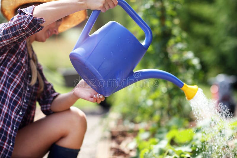 Vrouw het water geven installaties buiten in de zomer stock afbeelding Vrouw het water geven installaties buiten in de zomer stock afbeelding