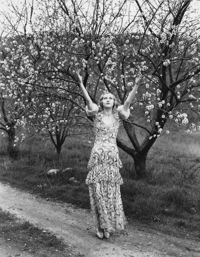 Woman with flowering trees (All persons depicted are no longer living and no estate exists. Supplier grants that there will be no model release issues.). Woman with flowering trees (All persons depicted are no longer living and no estate exists. Supplier grants that there will be no model release issues.)